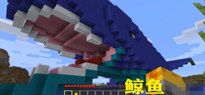 我的世界鲸鱼怎么样-新生物鲸鱼介绍
