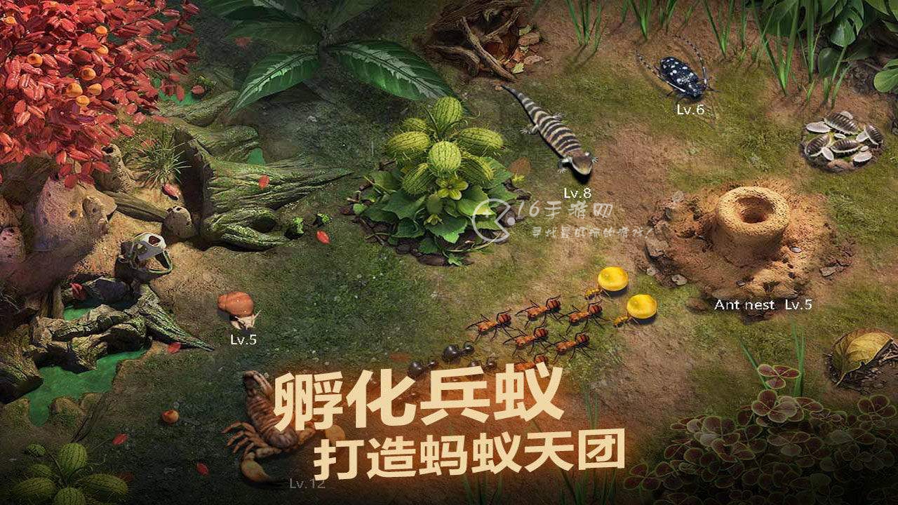 小小蚁国登录失败怎么办 登录失败解决方法
